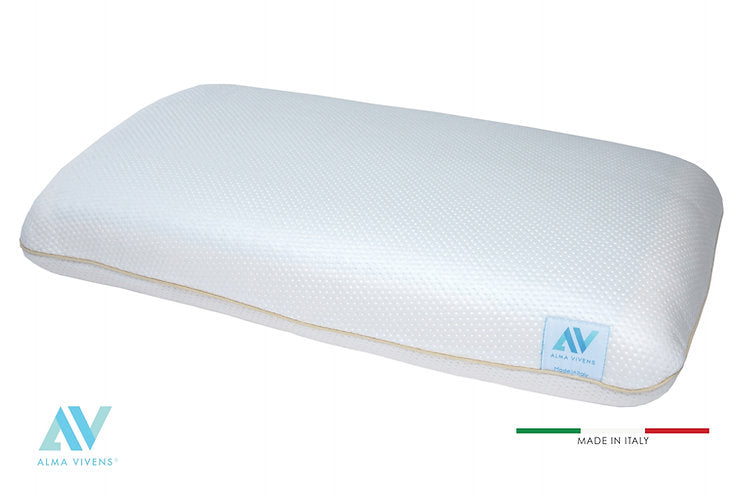 Classy Pillow