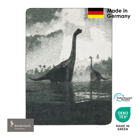 德國製兒童毛毯 BRACHIO