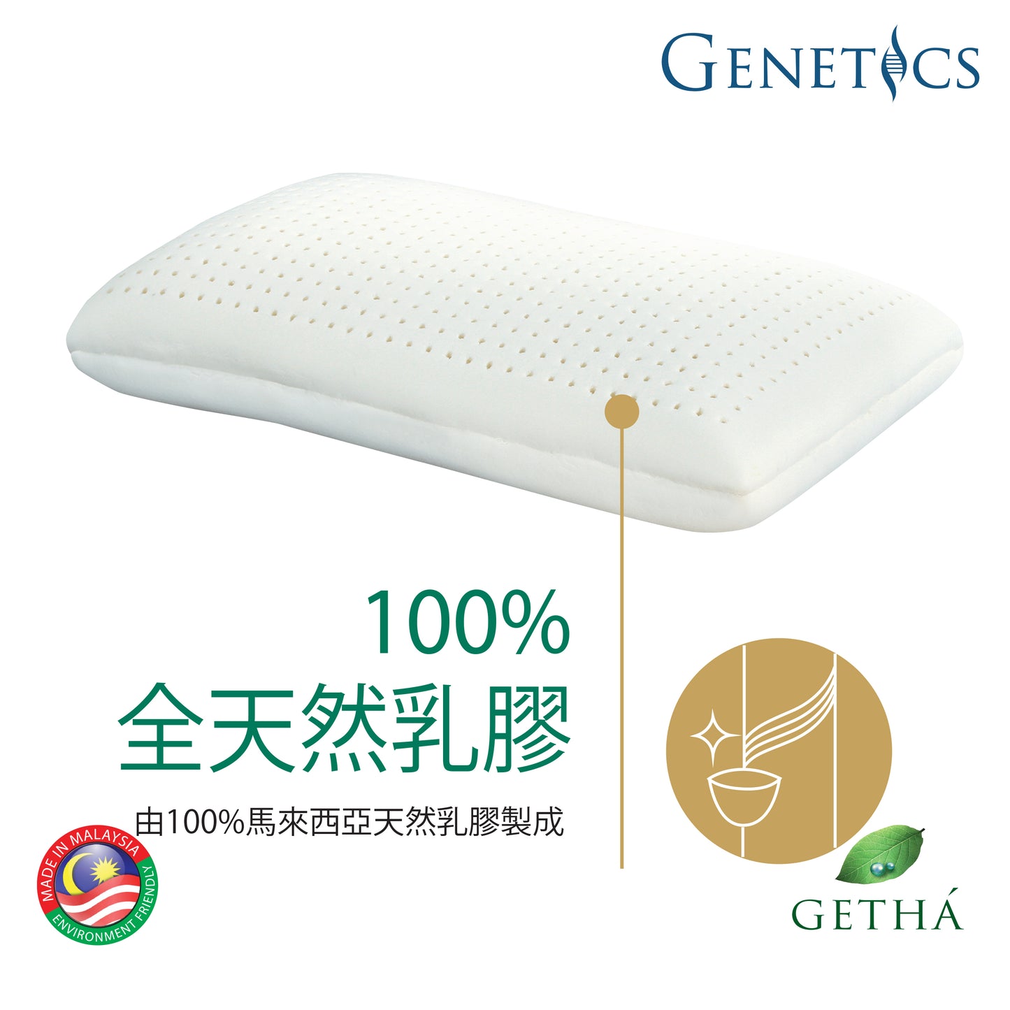 Genetics 100% 全天然乳膠枕